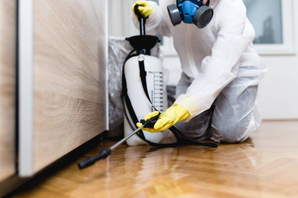 Best Termite Control Services  in Fairhope, AL