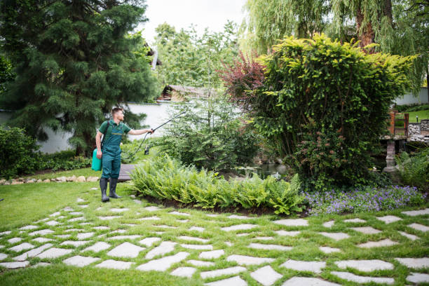Best Pest Control Near Me  in Fairhope, AL