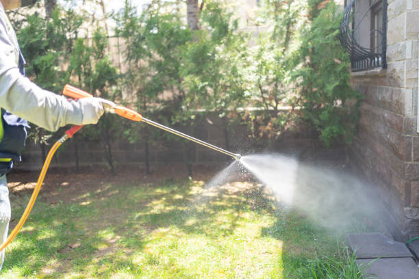 Trusted Fairhope, AL Pest Control Experts