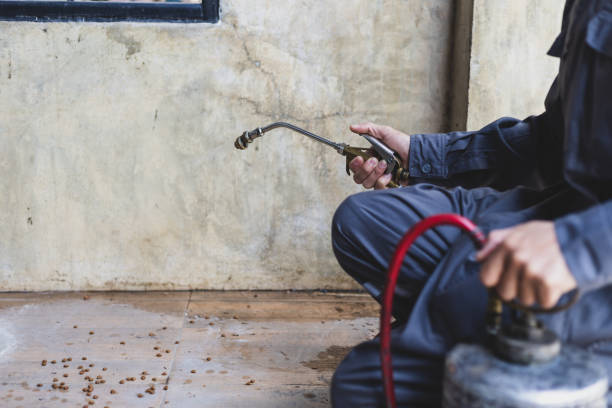 Best Affordable Pest Control Services  in Fairhope, AL